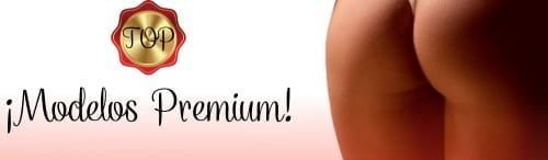 Banner Premium